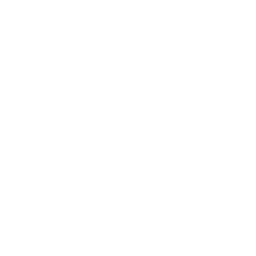 ce logo Muncie