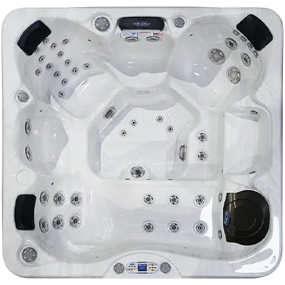 Avalon EC-849L hot tubs for sale in Muncie