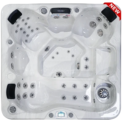 Avalon-X EC-849LX hot tubs for sale in Muncie