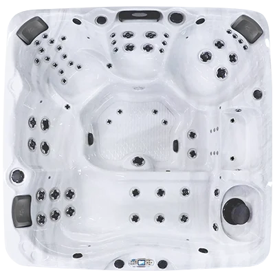 Avalon EC-867L hot tubs for sale in Muncie